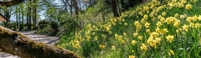 Willkommen in den Merian Gärten